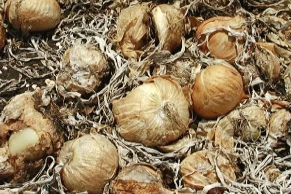 Kraken адрес onion