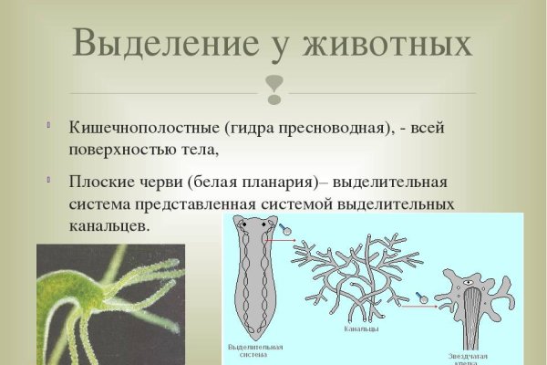 Кракен ссылка прокатис