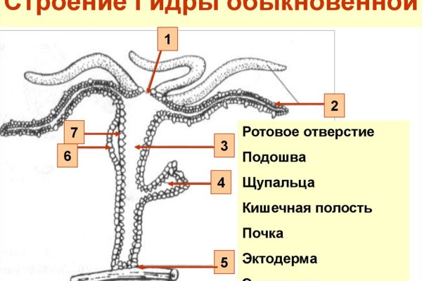 Kraken darknet sliv php