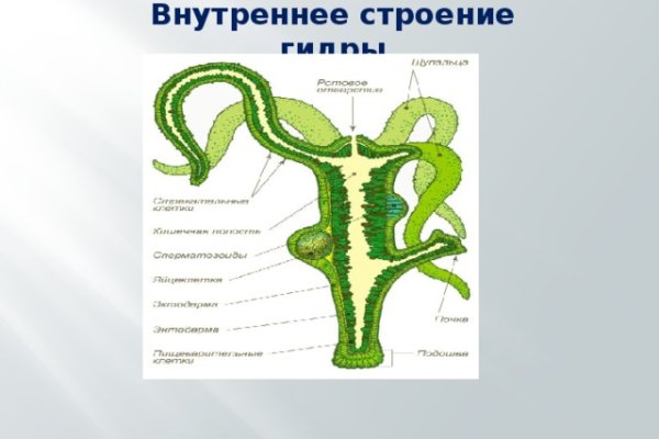 Кракен маркет даркнет только через