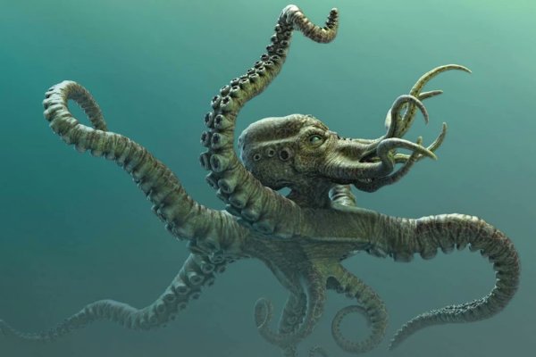 Kraken19 at