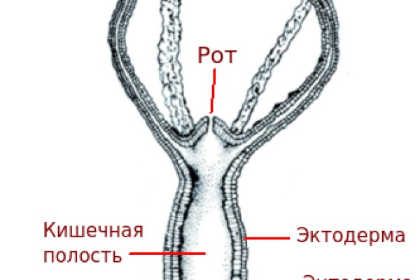 Что вместо гидры