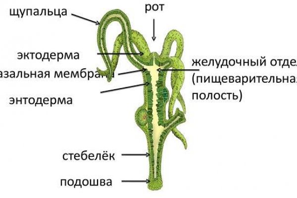 Kra43.at