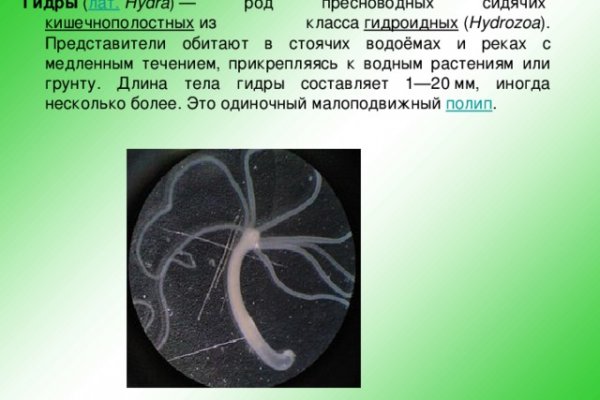 Kraken что это за сайт