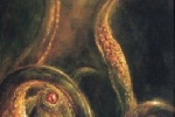 Kraken istand onion