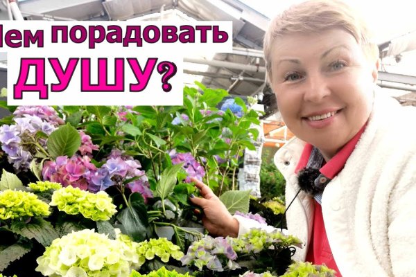 Кракен площадка зеркало