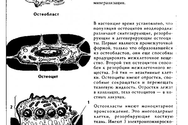 Адрес кракена