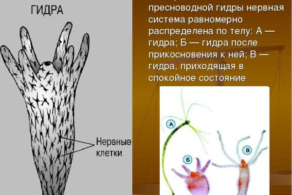 Кракен ссылка официальная на тор